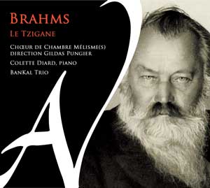 Brahms le Tzigane